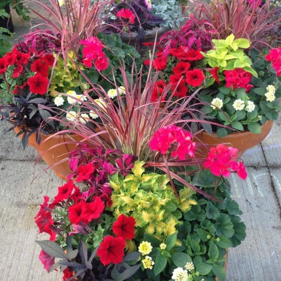 Meet your Posher, Theresa - Picture 2 of 3